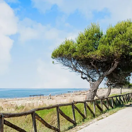 Flat With Terrace Near The Sea 비비오네